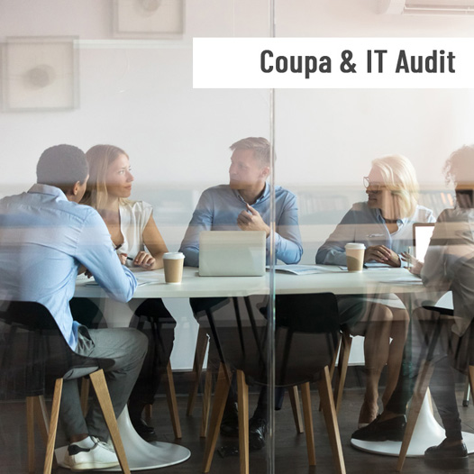 IT and Coupa audit